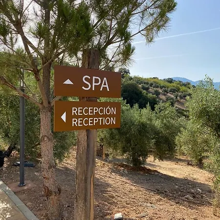 Hacienda Fresneda Maria By Real Spain Adults Recommended فندق Villanueva del Rosario